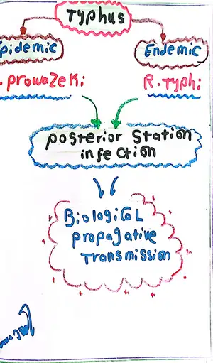 Typhus Vs. Relapsing Fever Part Two: Marwa Omar