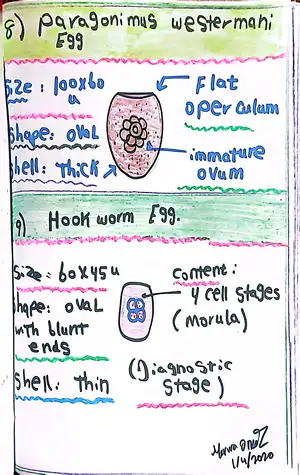 Ova of the Helminths, Paragonimus westermani and the Hookworms