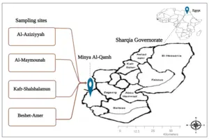 Minya Al-Qamh District, Northern Egypt