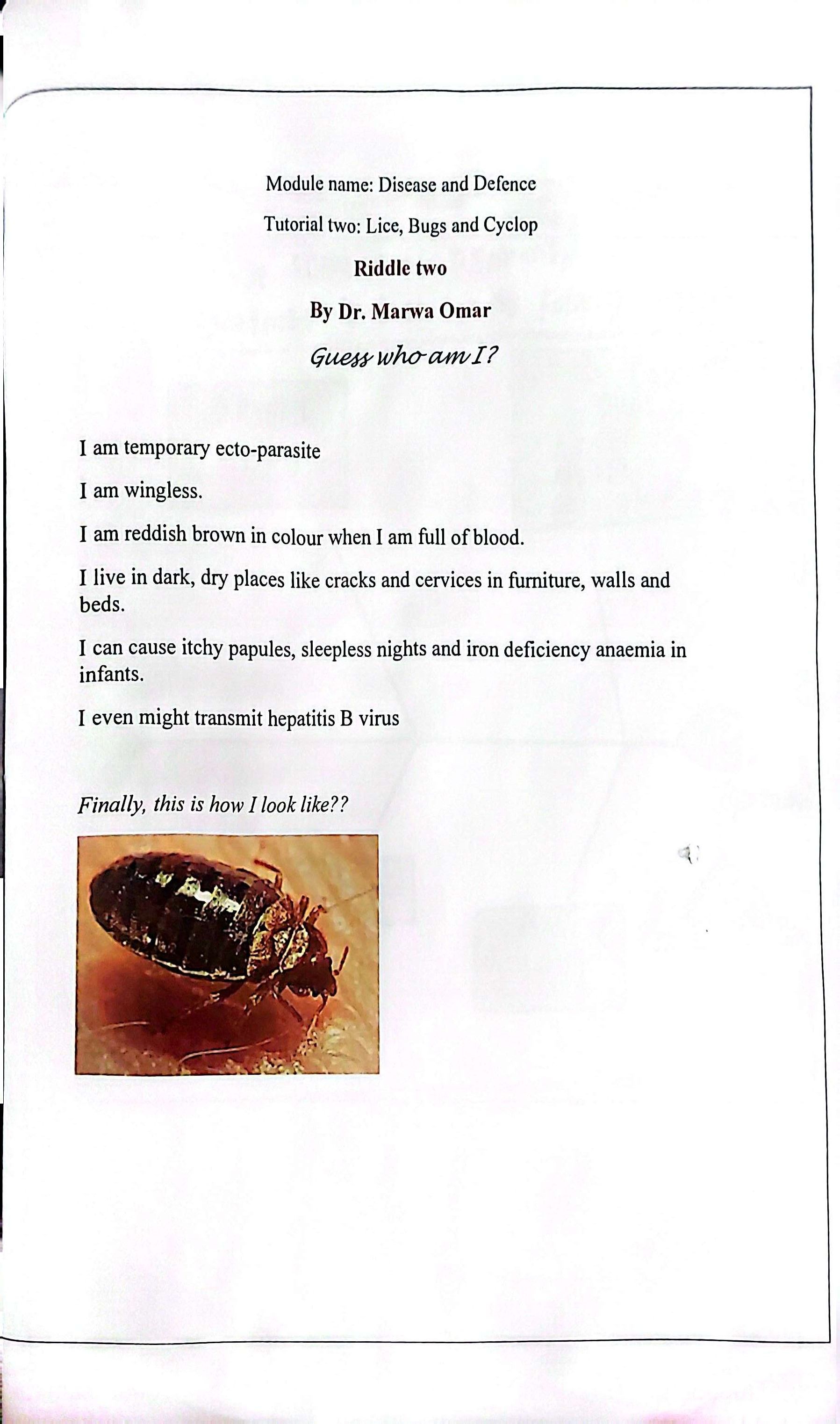 Cockroach Riddles Parasitology Riddles: Number two: Dr. Marwa Omar | Encyclopedia MDPI