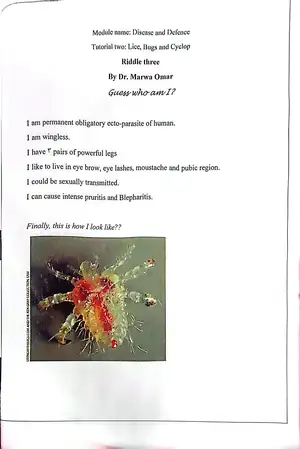 Parasitology Riddles: Number 3: Marwa Omar