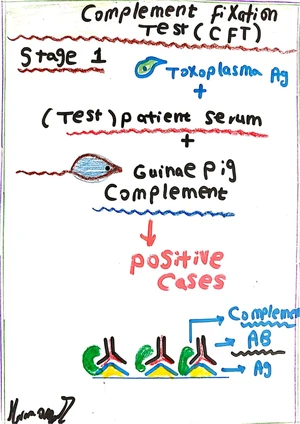 Serology in Toxoplasmosis: Complement Fixation Test 1