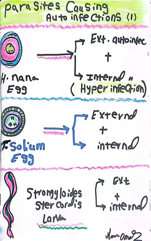 Parasites Causing Autoinfection (2): Marwa Omar