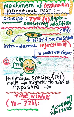 Principle of Leishmanin Test, Part 1: Marwa Omar