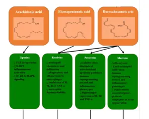 Specialized Pro-Resolving Mediators