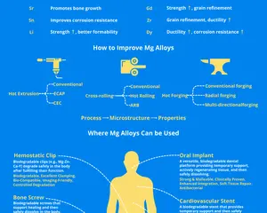 From Processing to Patient: Biomedical Magnesium Alloys