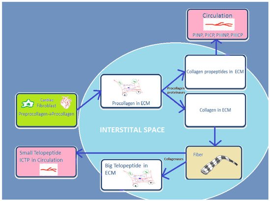 Metabolites 12 00297 g001 550