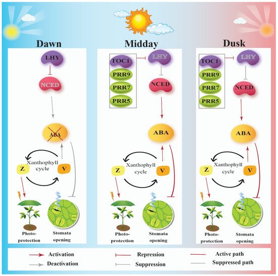 Cells 11 01154 g002 550