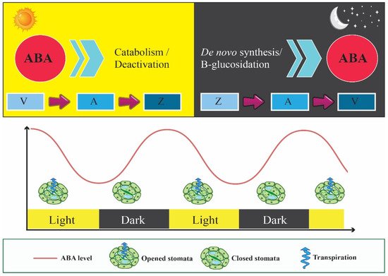 Cells 11 01154 g003 550