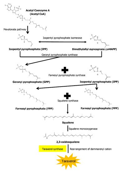 Biomedicines 10 00807 g002 550