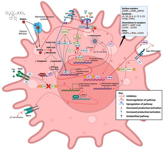 Immuno 02 00021 g003 550