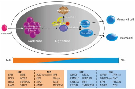 Cancers 14 01857 g002 550