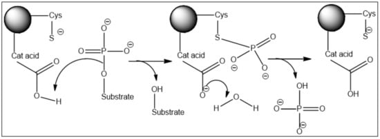 Molecules 27 02389 g001 550