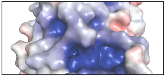 Molecules 27 02389 g002 550