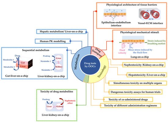 Bioengineering 09 00150 g001 550