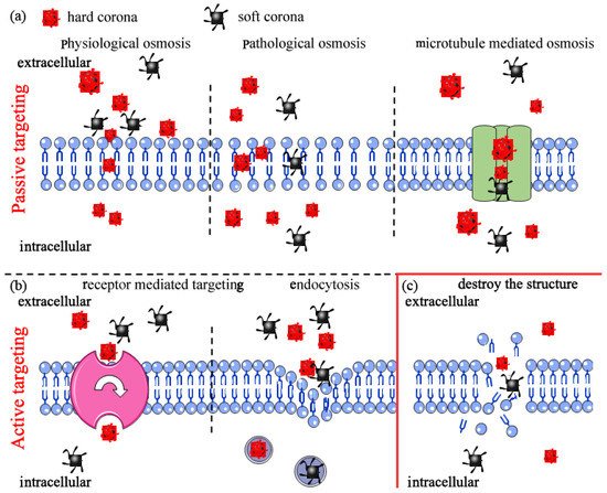 Nanomaterials 12 01298 g003 550