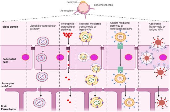 Pharmaceutics 14 00835 g001 550