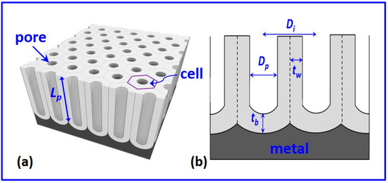 Nanomaterials 12 00444 g002 550