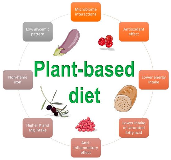 Plant-Based Diet and Gestational Diabetes | Encyclopedia MDPI