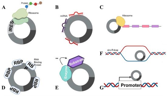 Ijms 23 04551 g003 550