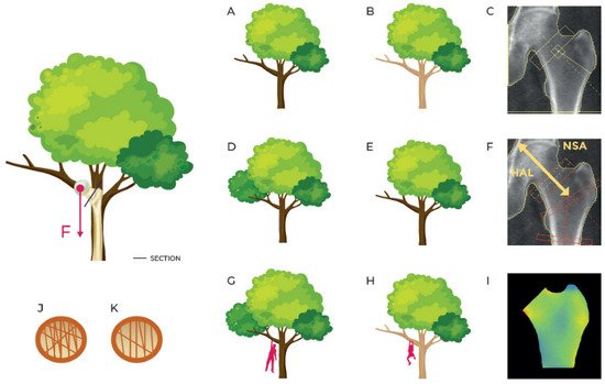 Jcm 11 02284 g001 550