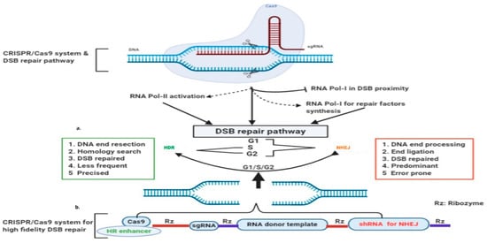 Genes 13 00737 g003 550