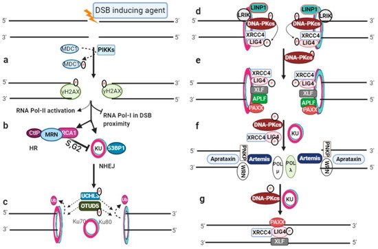 Genes 13 00737 g001 550