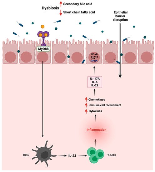 Cancers 14 02140 g003 550