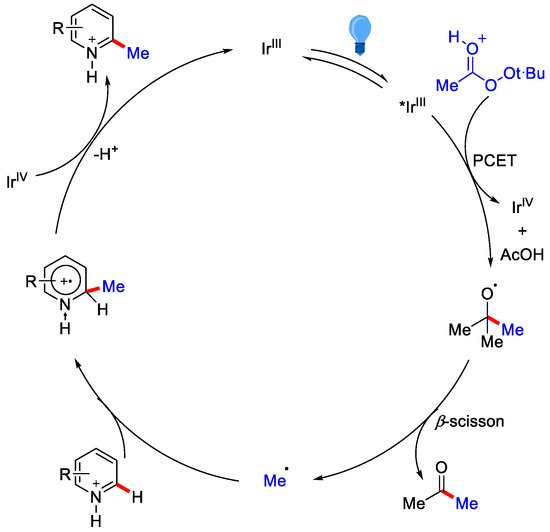 Catalysts 12 00510 sch002 550