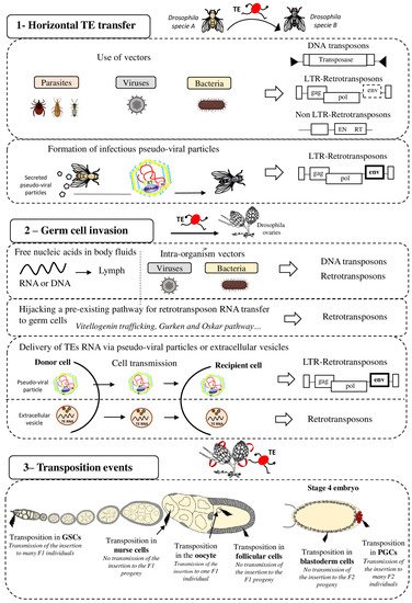 Biology 11 00710 g001 550