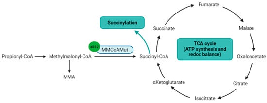 Nutrients 14 02058 g003 550