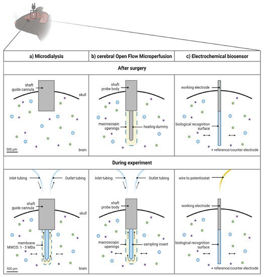 Pharmaceutics 14 01051 g002 550