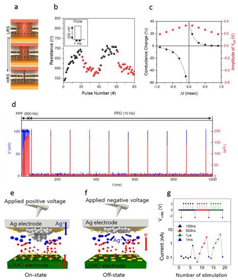 Nanomaterials 12 01728 g004 550