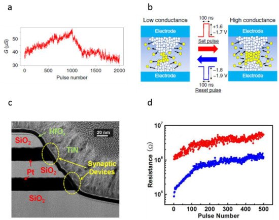 Nanomaterials 12 01728 g006 550