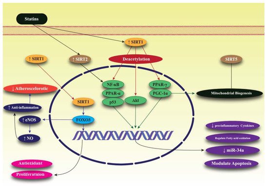 Life 12 00760 g001 550