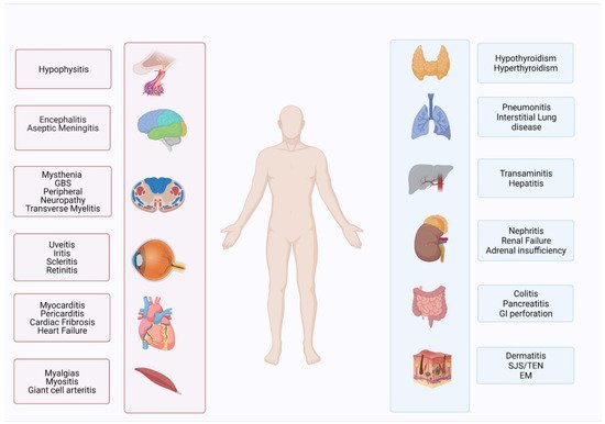 Cancers 14 02460 g002 550