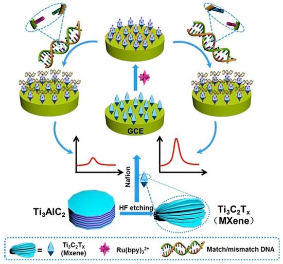 Nanomaterials 12 01797 g005 550