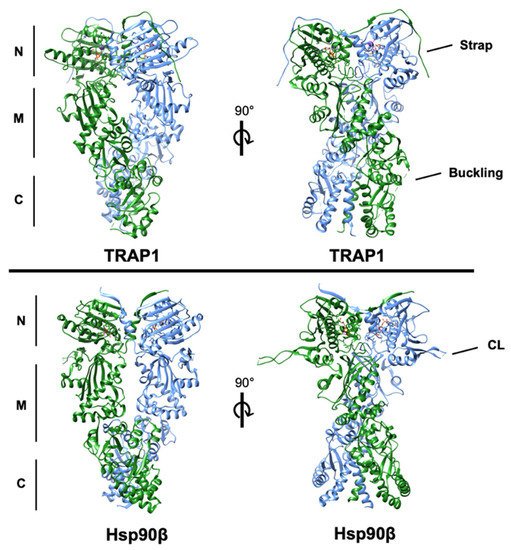 Biomolecules 12 00786 g001 550