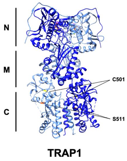 Biomolecules 12 00786 g004 550