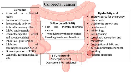 Life 12 00811 g002 550