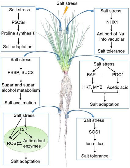 Life 12 00860 g002 550