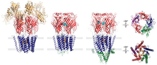 Biomolecules 12 00814 g001 550