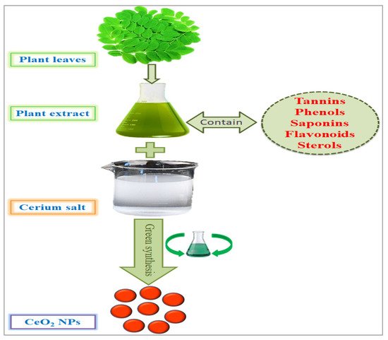 Nanomaterials 12 02117 g003 550