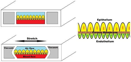 Biosensors 12 00459 g009 550