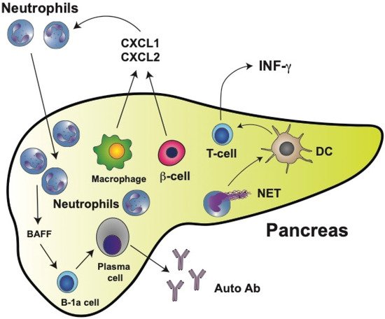 Cells 11 01883 g004 550