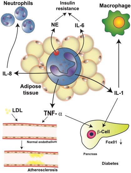 Cells 11 01883 g005 550