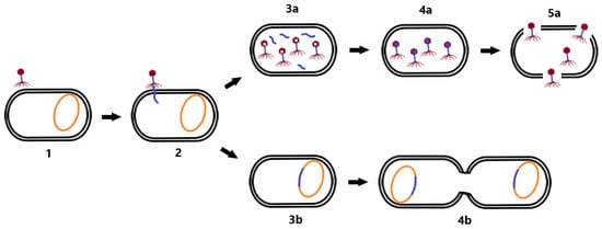 Microorganisms 10 01365 g001 550