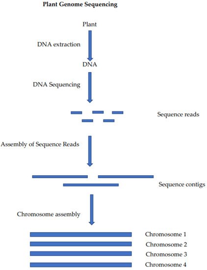 Applbiosci 01 00008 g001 550