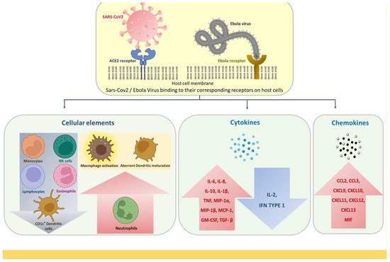 Pathogens 11 00800 g001 550