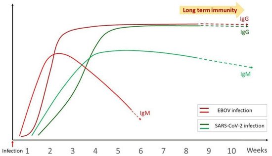 Pathogens 11 00800 g002 550